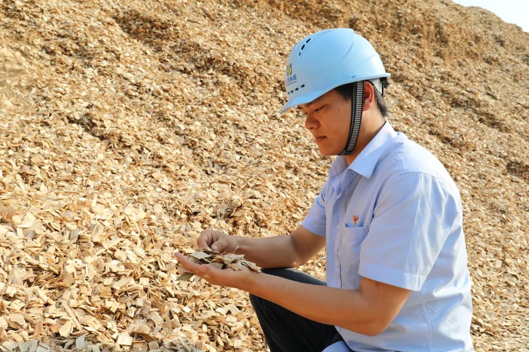 1655172341113135.jpg 2.jpg