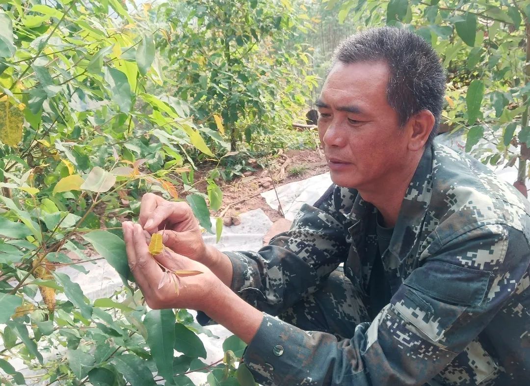 1655174103273406.jpg 1.jpg