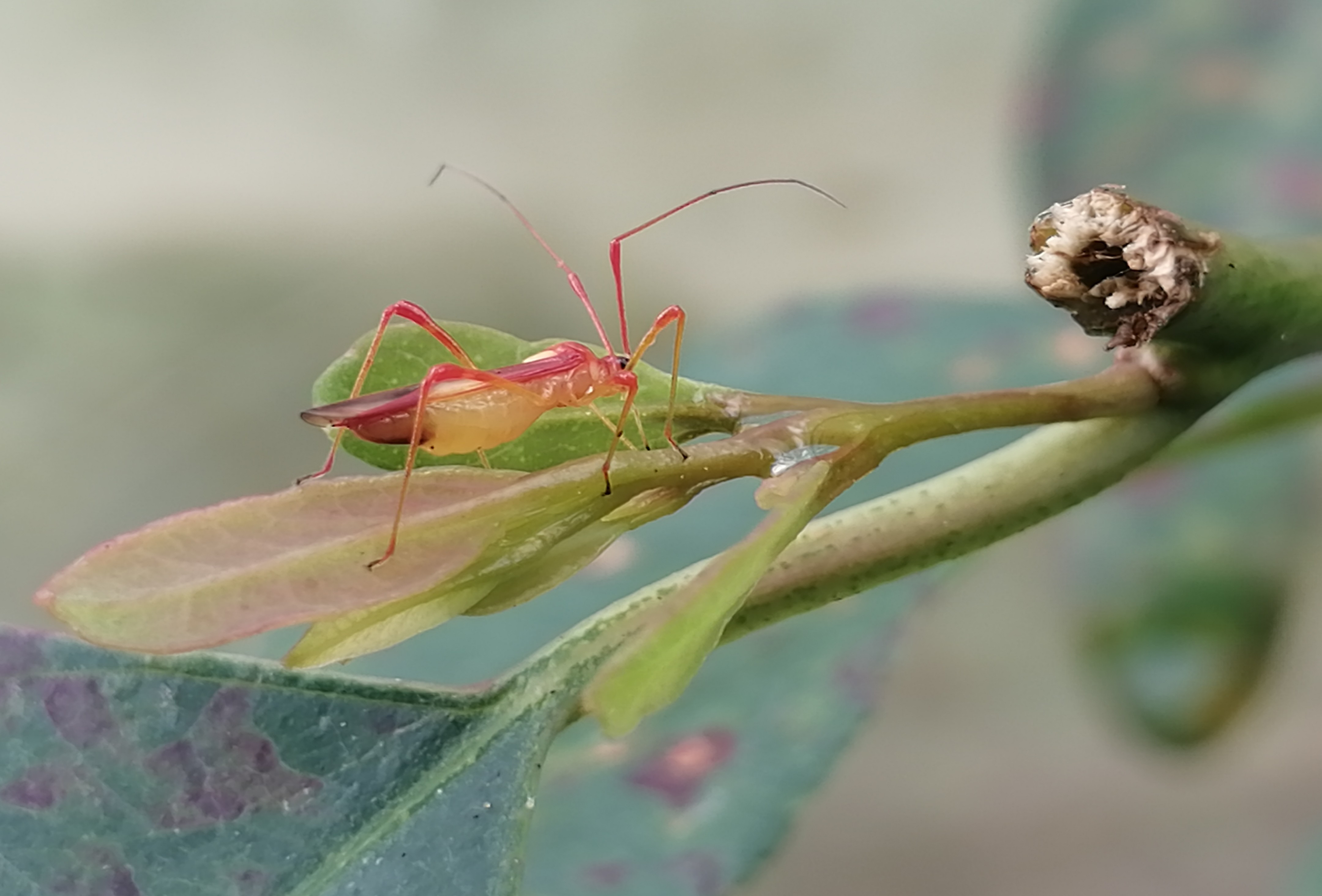 1668393458497829.jpg IMG_20220912_150801(1).jpg