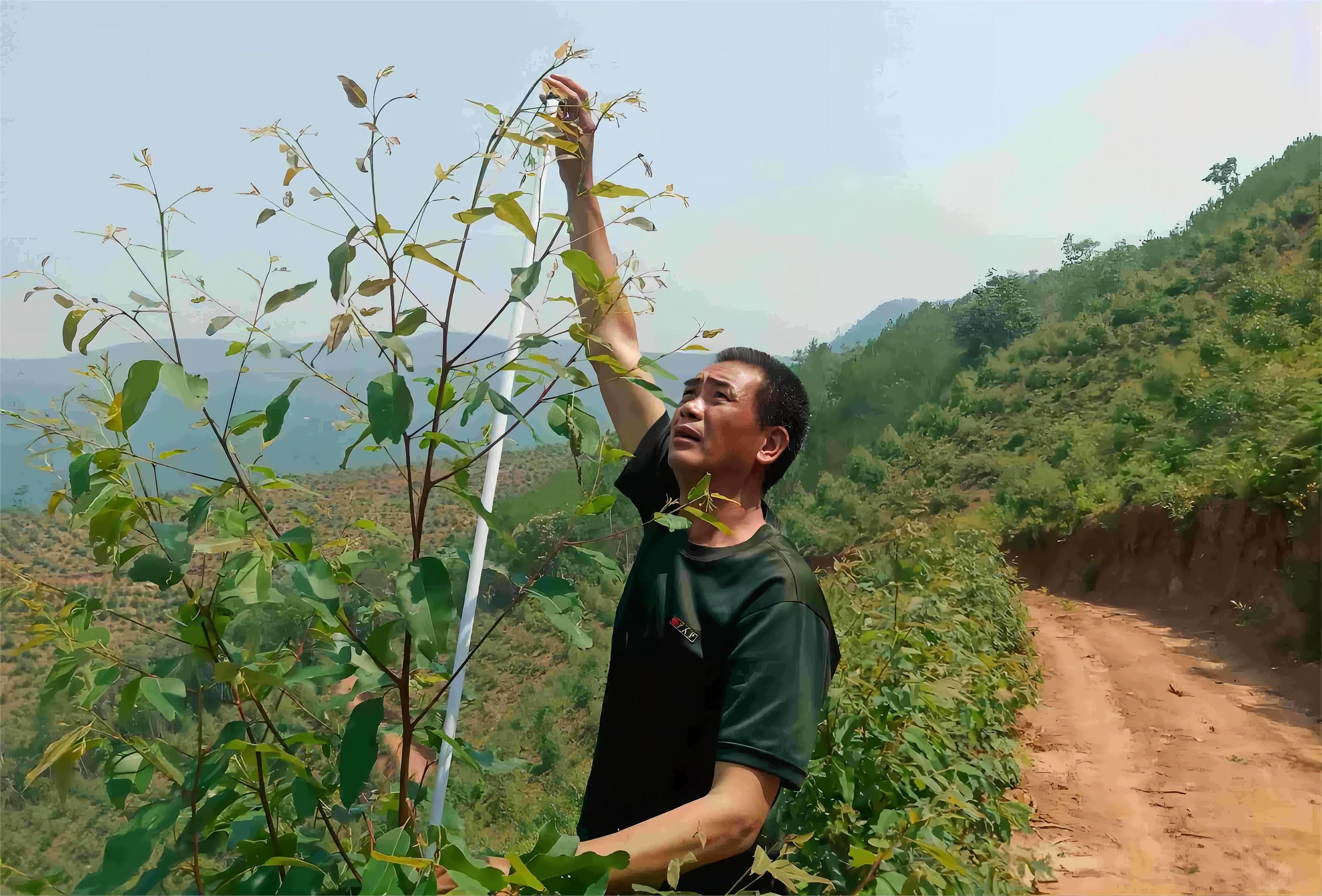 1668394336817752.jpg IMG_2148.JPG