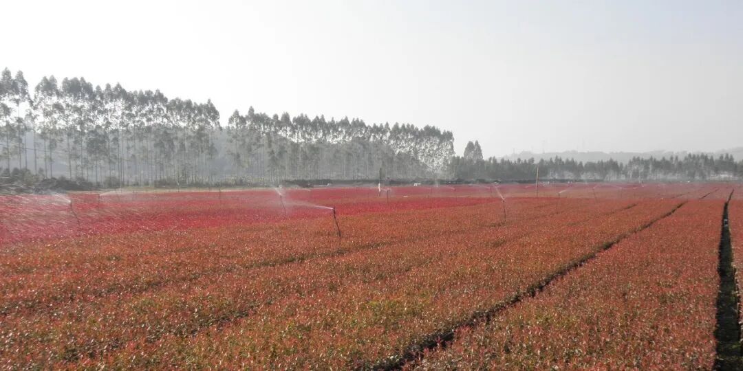 1761111111508462.jpg 微信圖片_2025-10-22_133037_802.jpg